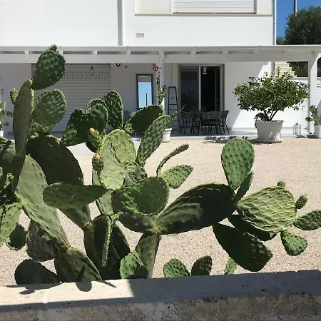 Peter * Ostuni