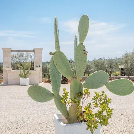 Peter * Ostuni